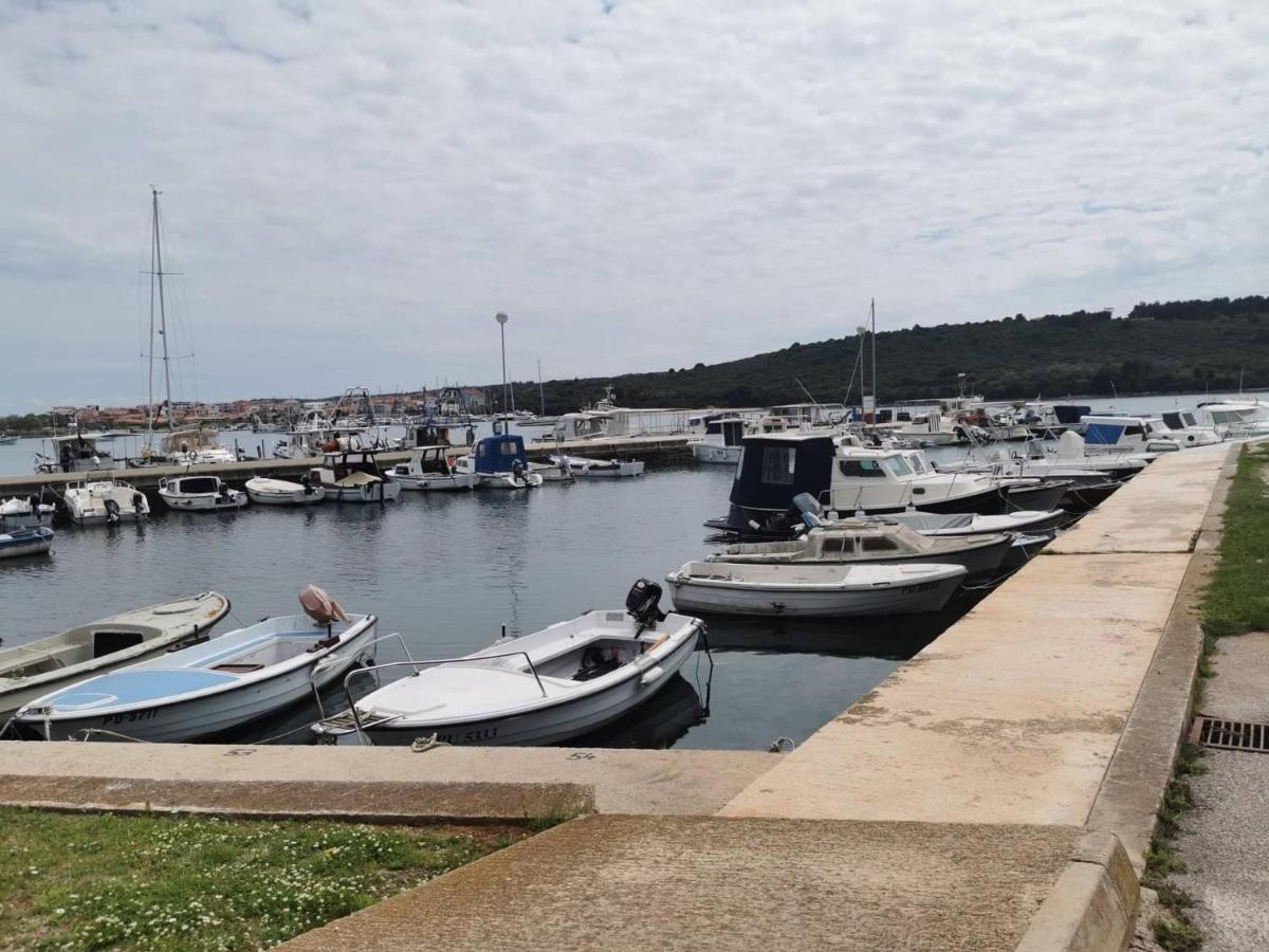 Black Pearl - Luxury Seaside App With Pool & Bbq, Istra Banjole Kültér fotó