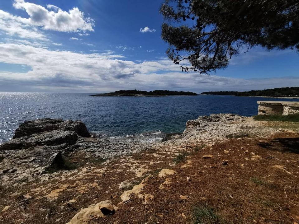 Black Pearl - Luxury Seaside App With Pool & Bbq, Istra Banjole Kültér fotó