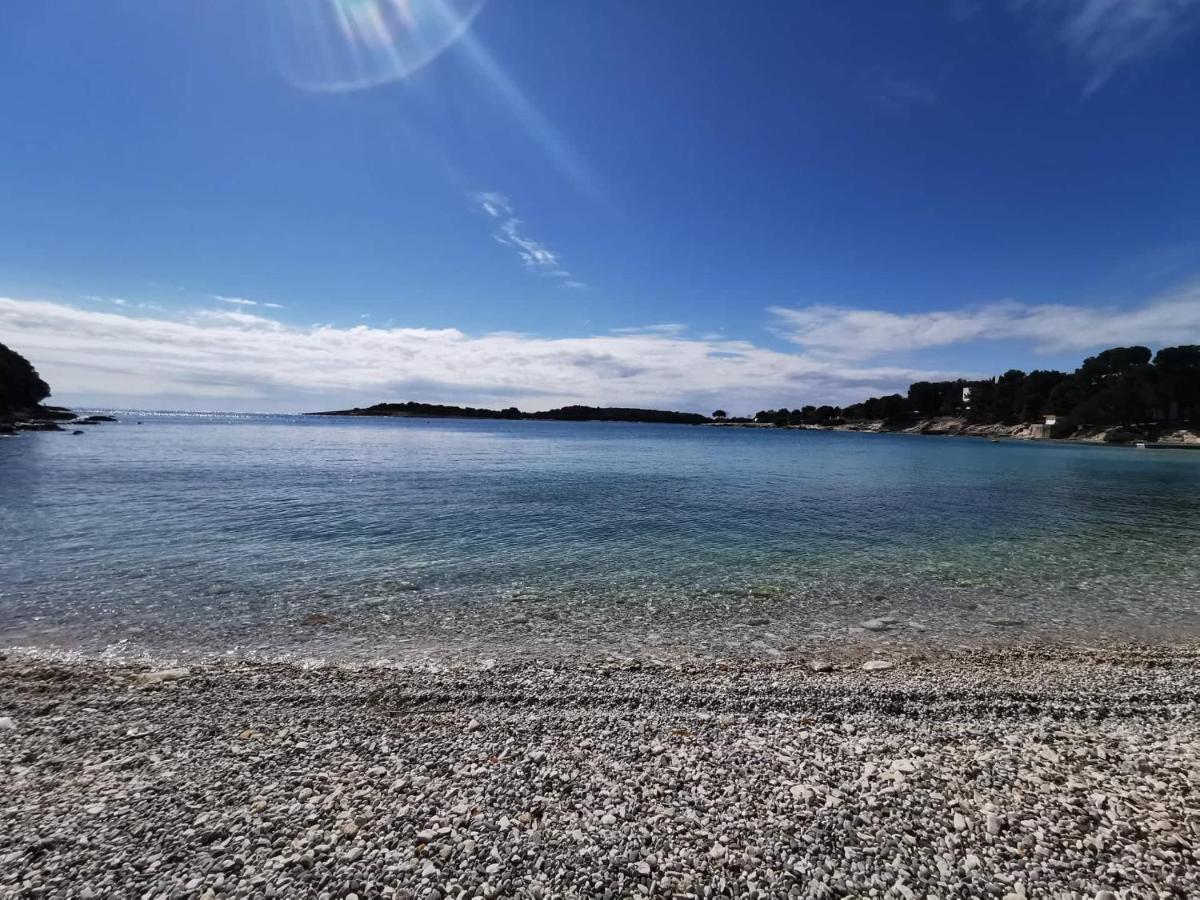 Black Pearl - Luxury Seaside App With Pool & Bbq, Istra Banjole Kültér fotó